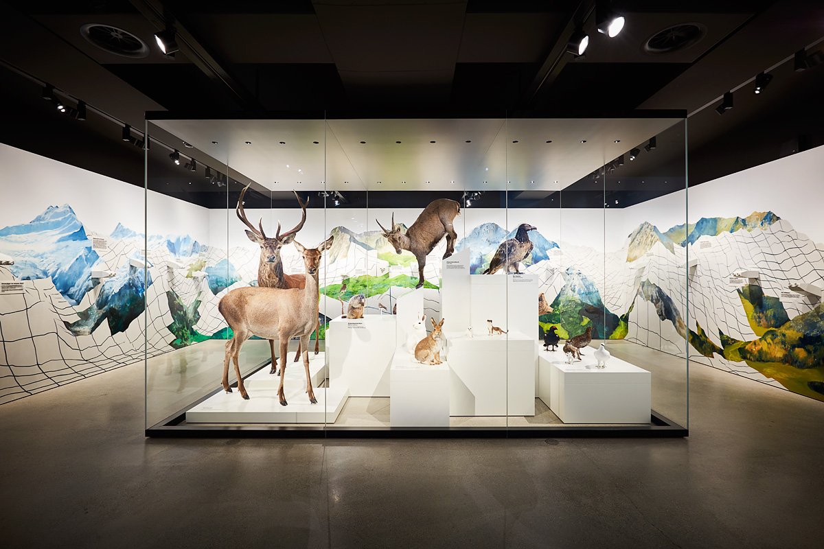 Dauerausstellung Schauplatz Natur - Naturhistorisches Museum Basel © Gregor Brändli Dauerausstellung Schauplatz Natur - Naturhistorisches Museum Basel © Gregor Brändli